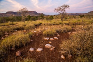 Kimberley landscape by Tc Nguyen